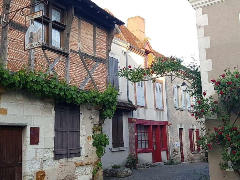 Le Meuble Monestois Villa Mennetou-sur-Cher Ngoại thất bức ảnh